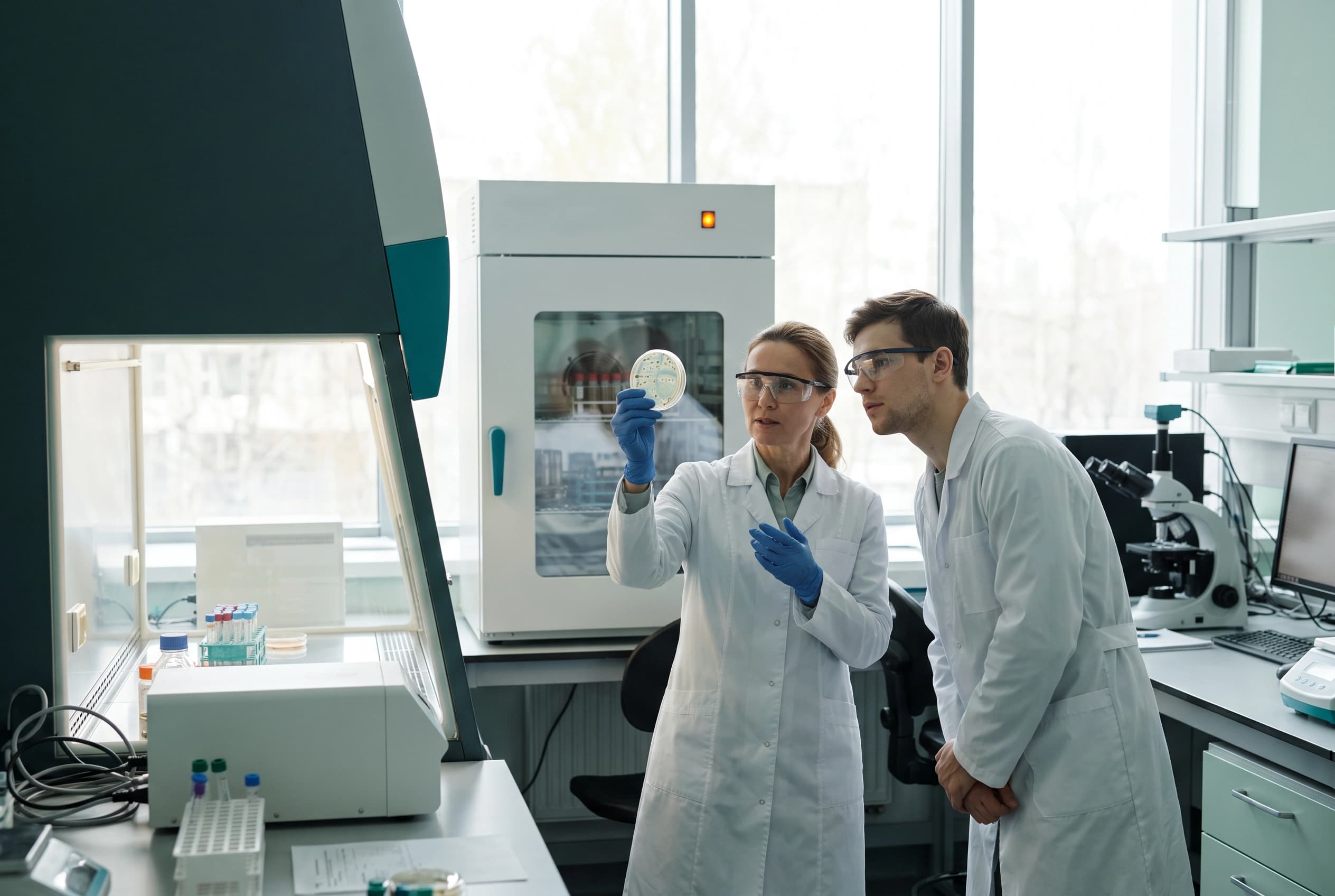 Stellvertretende Laborleitung Mikrobiologie